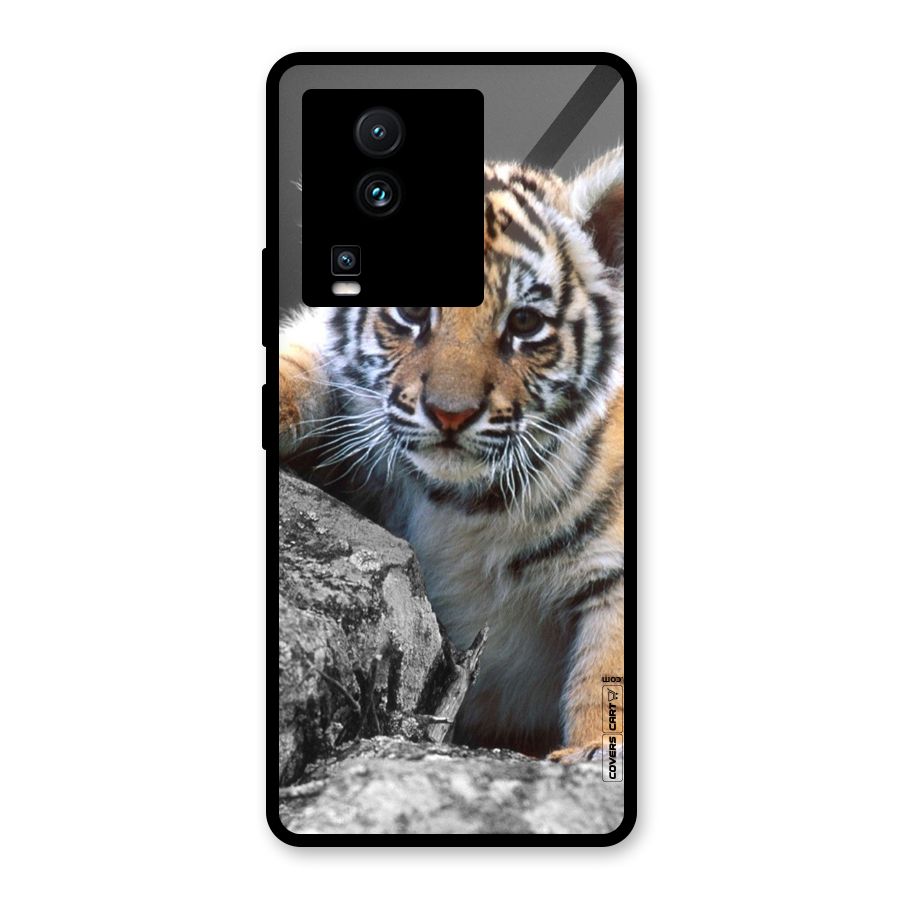 Animal Beauty Glass Back Case for Vivo iQOO Neo 7