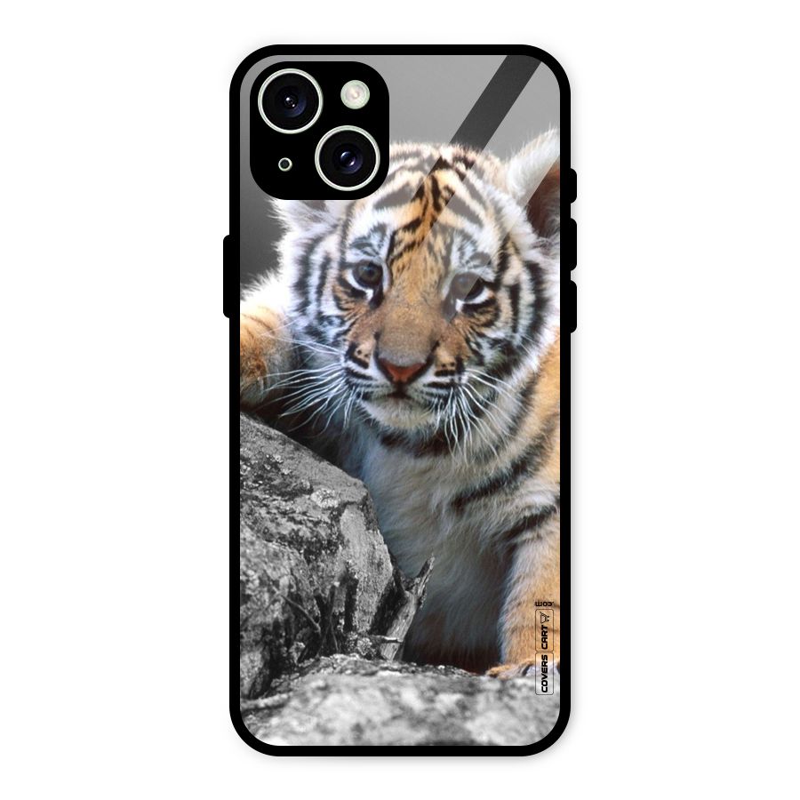 Animal Beauty Glass Back Case for iPhone 15 Plus