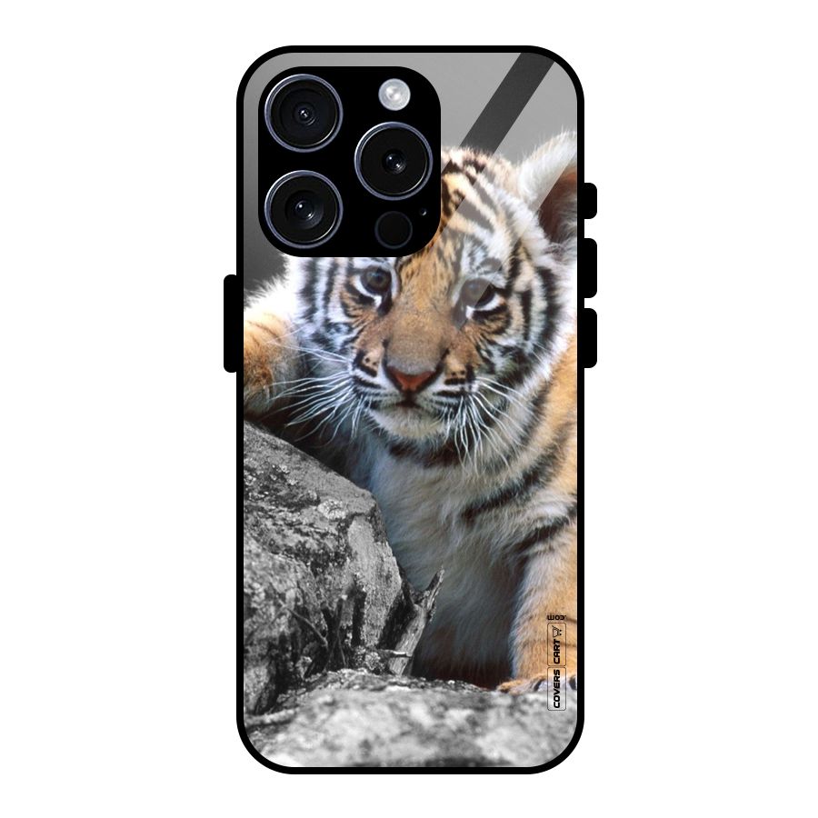 Animal Beauty Glass Back Case for iPhone 15 Pro