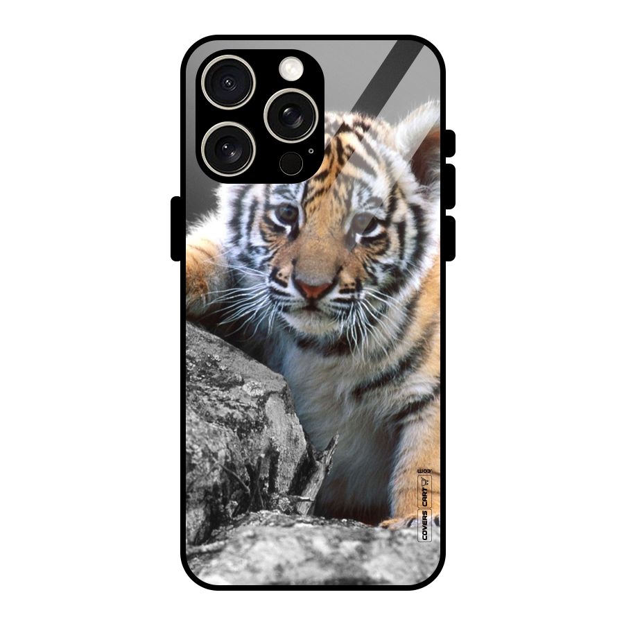 Animal Beauty Glass Back Case for iPhone 15 Pro Max