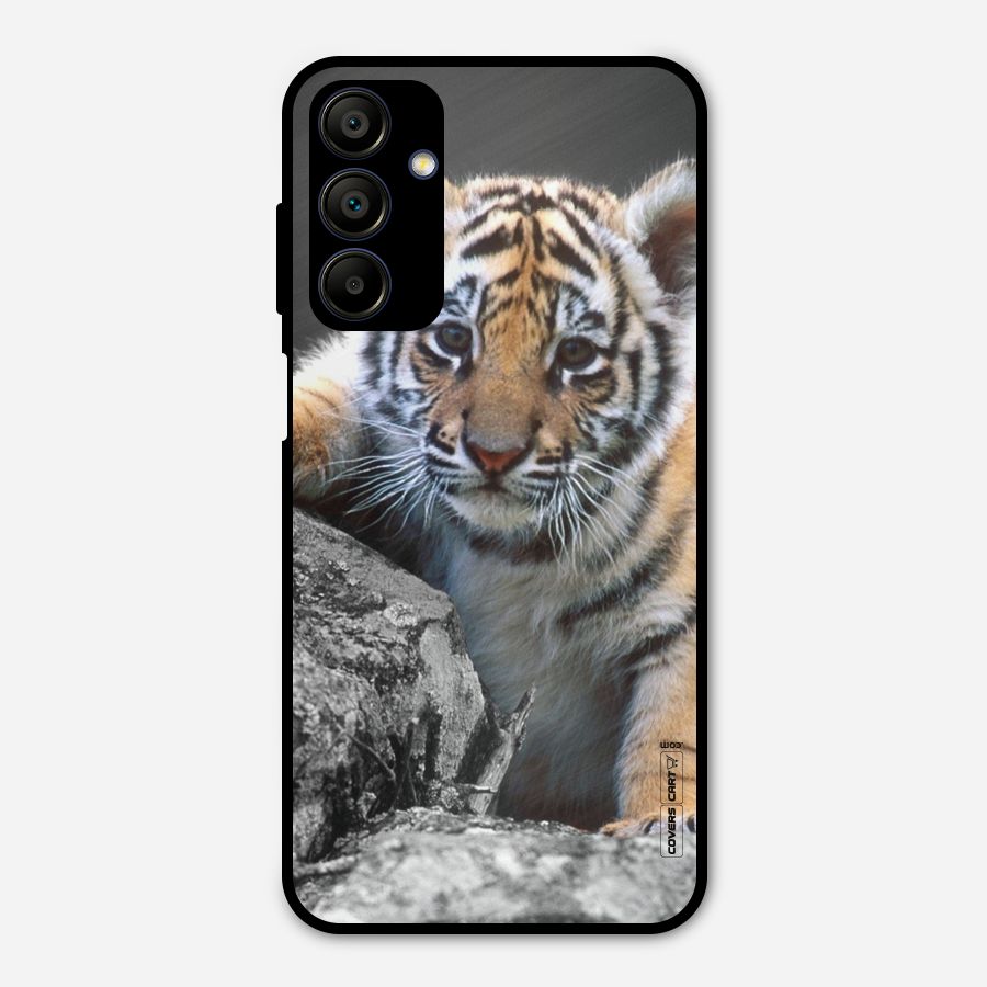 Animal Beauty Metal Back Case for Galaxy A15 5G