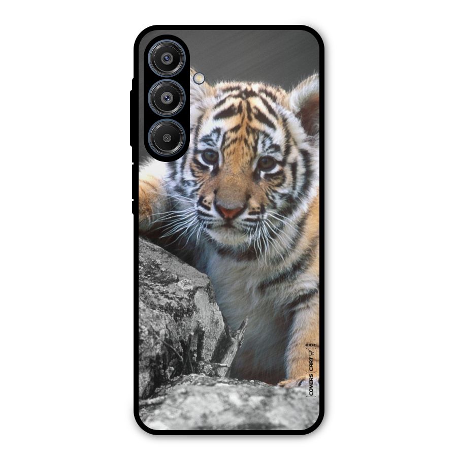 Animal Beauty Metal Back Case for Galaxy A16 5G