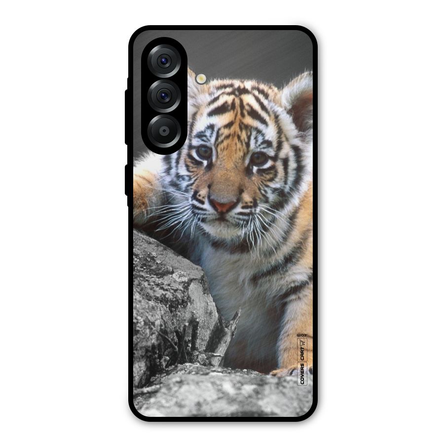 Animal Beauty Metal Back Case for Galaxy A36