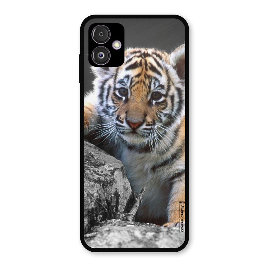 Animal Beauty Metal Back Case for Galaxy F14