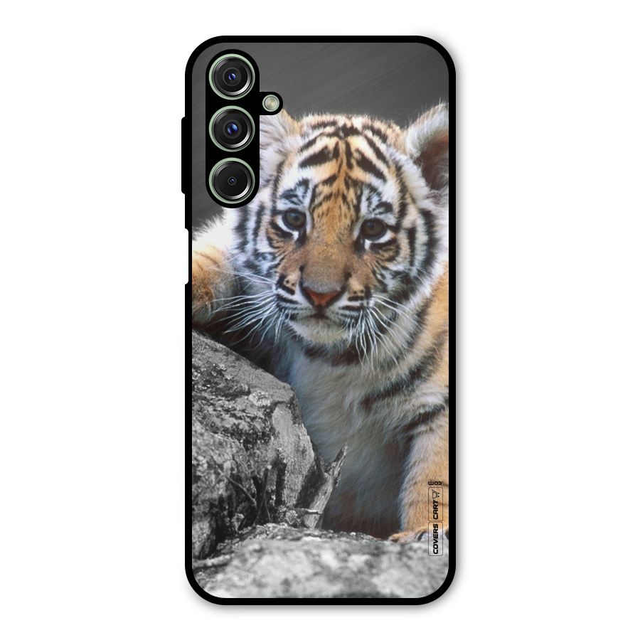 Animal Beauty Metal Back Case for Galaxy M34