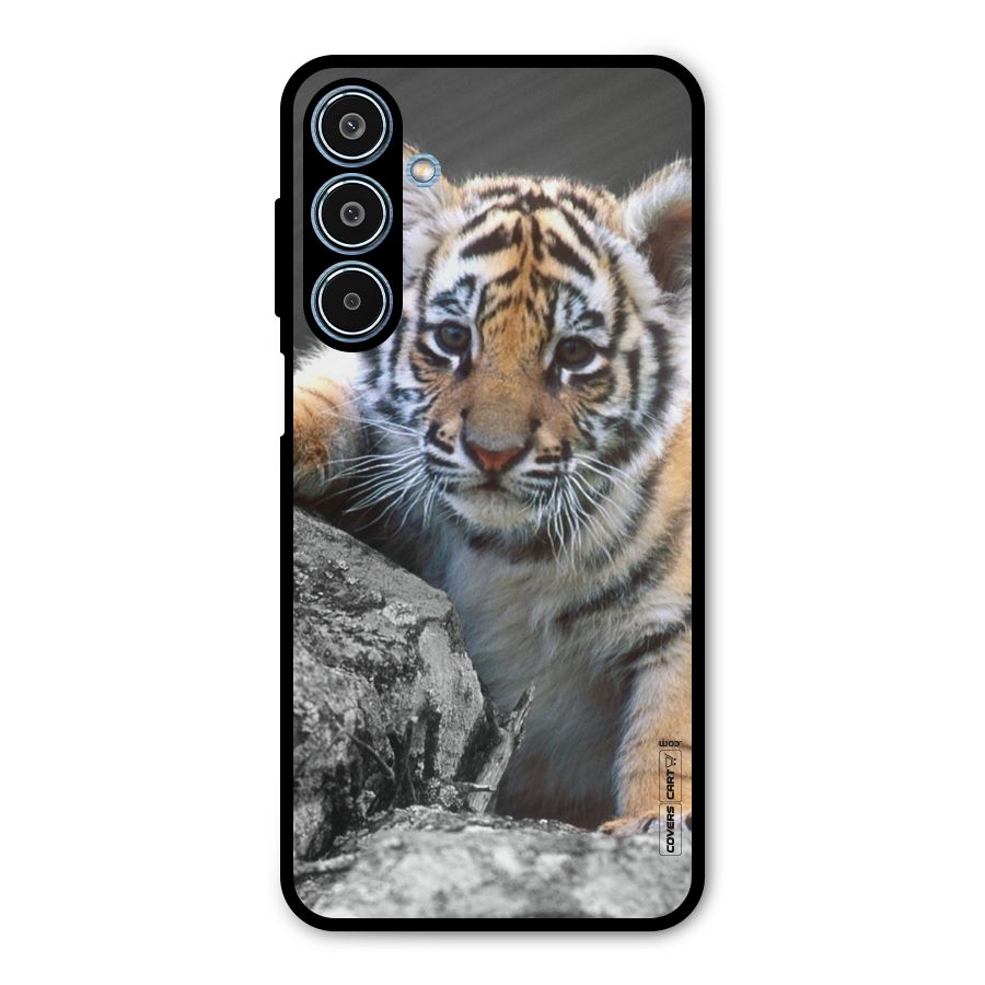Animal Beauty Metal Back Case for Galaxy M35