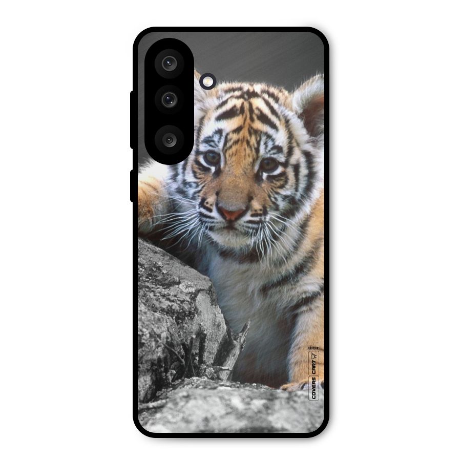 Animal Beauty Metal Back Case for Galaxy M56