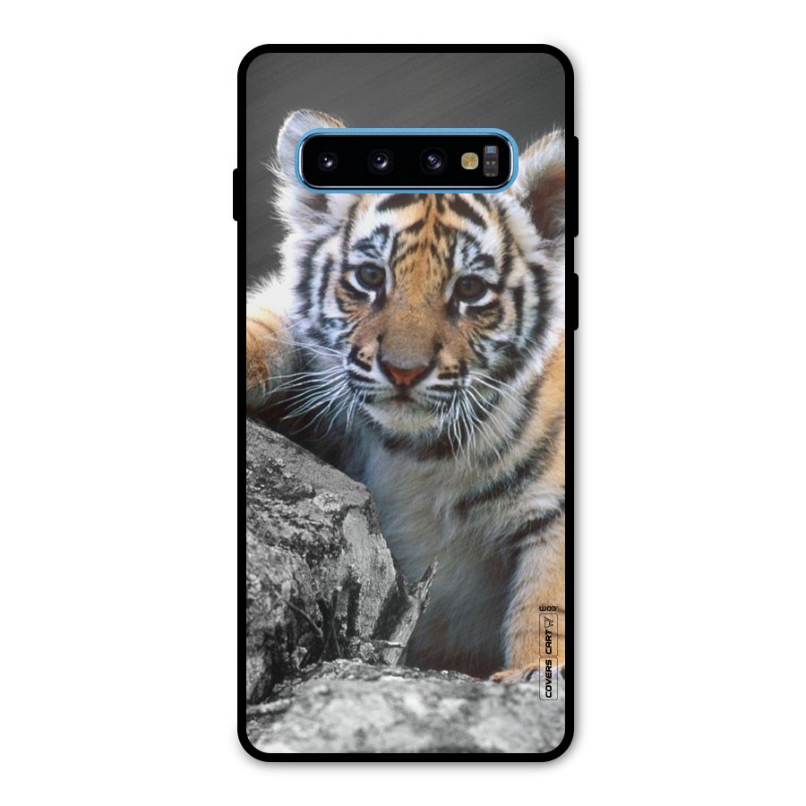 Animal Beauty Metal Back Case for Galaxy S10