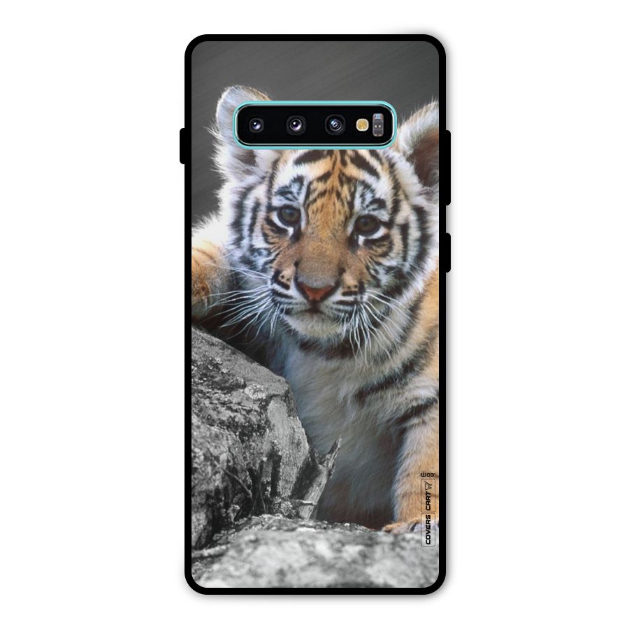 Animal Beauty Metal Back Case for Galaxy S10 Plus