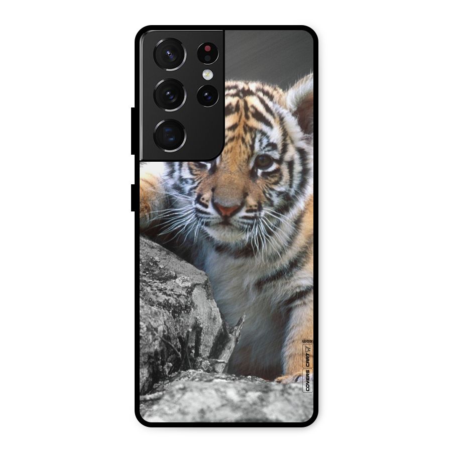 Animal Beauty Metal Back Case for Galaxy S21 Ultra 5G