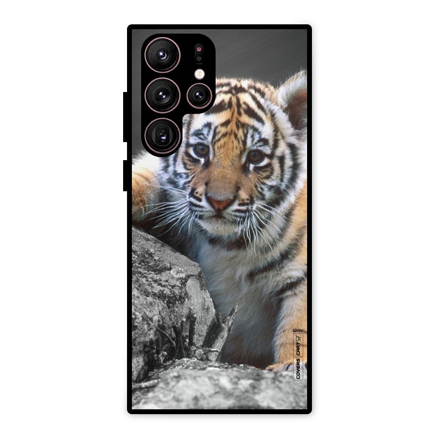 Animal Beauty Metal Back Case for Galaxy S22 Ultra 5G