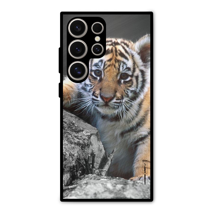 Animal Beauty Metal Back Case for Galaxy S24 Ultra
