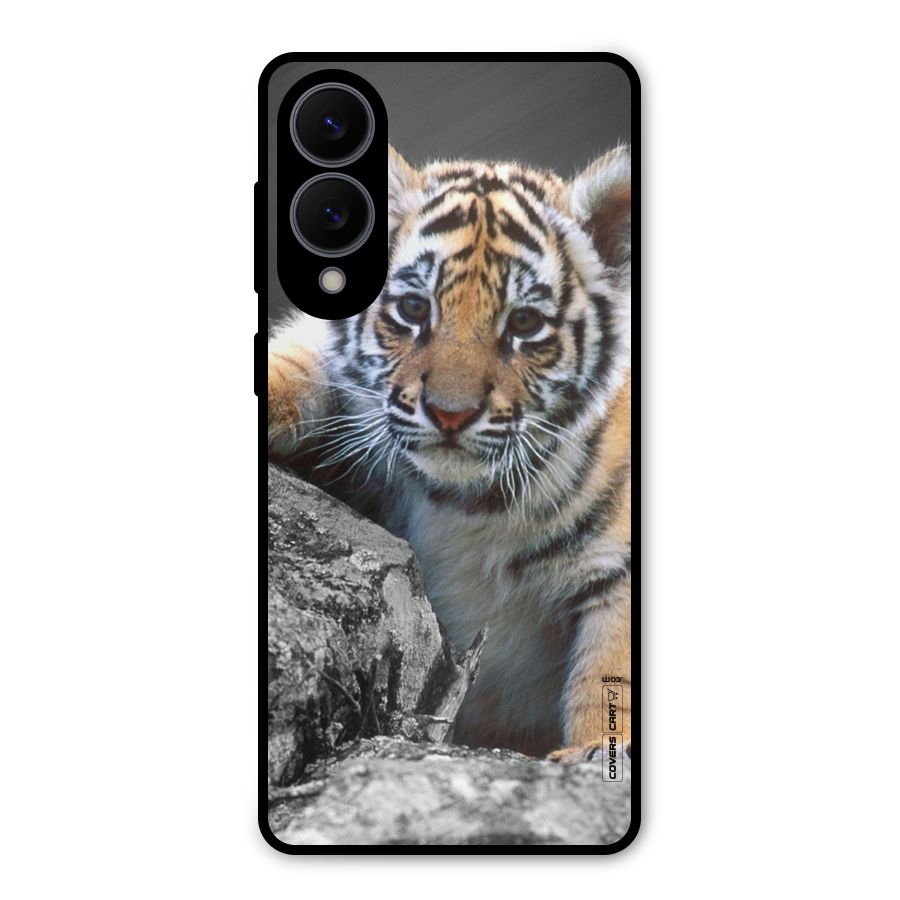 Animal Beauty Metal Back Case for Galaxy S25 Edge