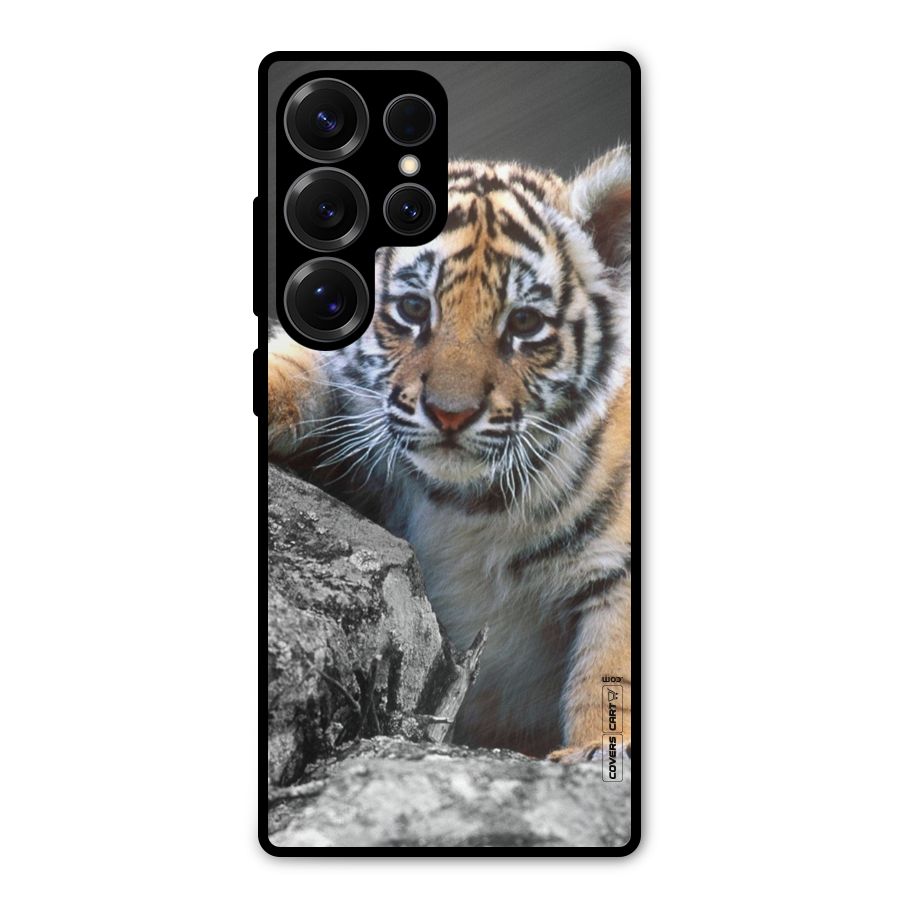 Animal Beauty Metal Back Case for Galaxy S25 Ultra