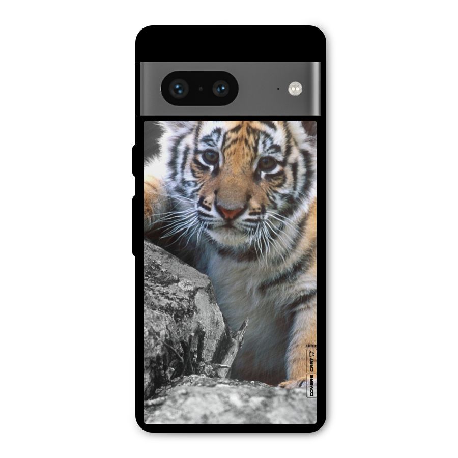 Animal Beauty Metal Back Case for Google Pixel 7