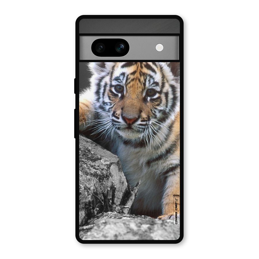 Animal Beauty Metal Back Case for Google Pixel 7a