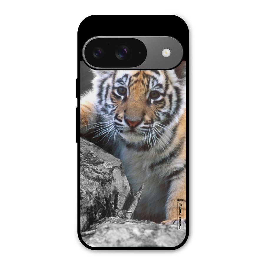 Animal Beauty Metal Back Case for Google Pixel 9