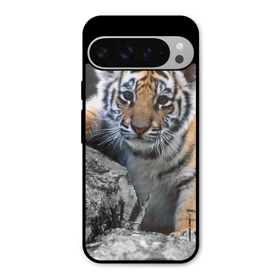 Animal Beauty Metal Back Case for Google Pixel 9 Pro XL