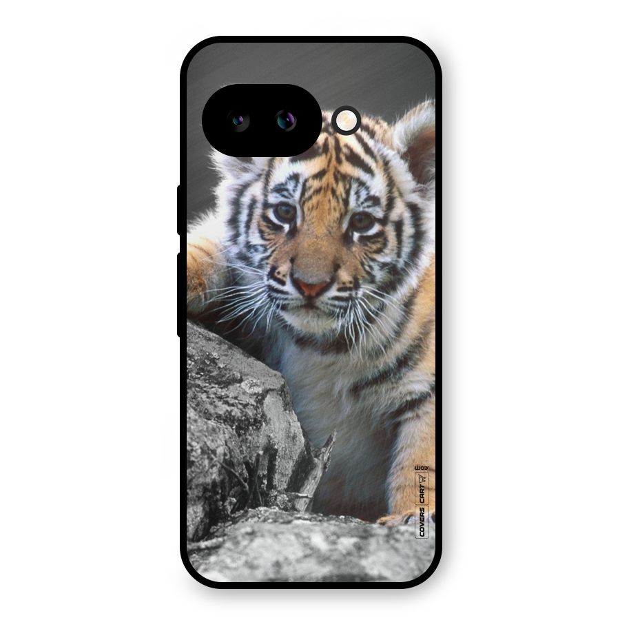 Animal Beauty Metal Back Case for Google Pixel 9a
