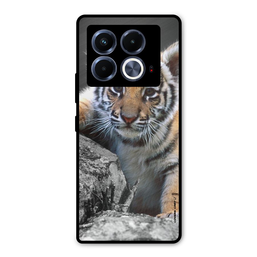 Animal Beauty Metal Back Case for Infinix Note 40 5G