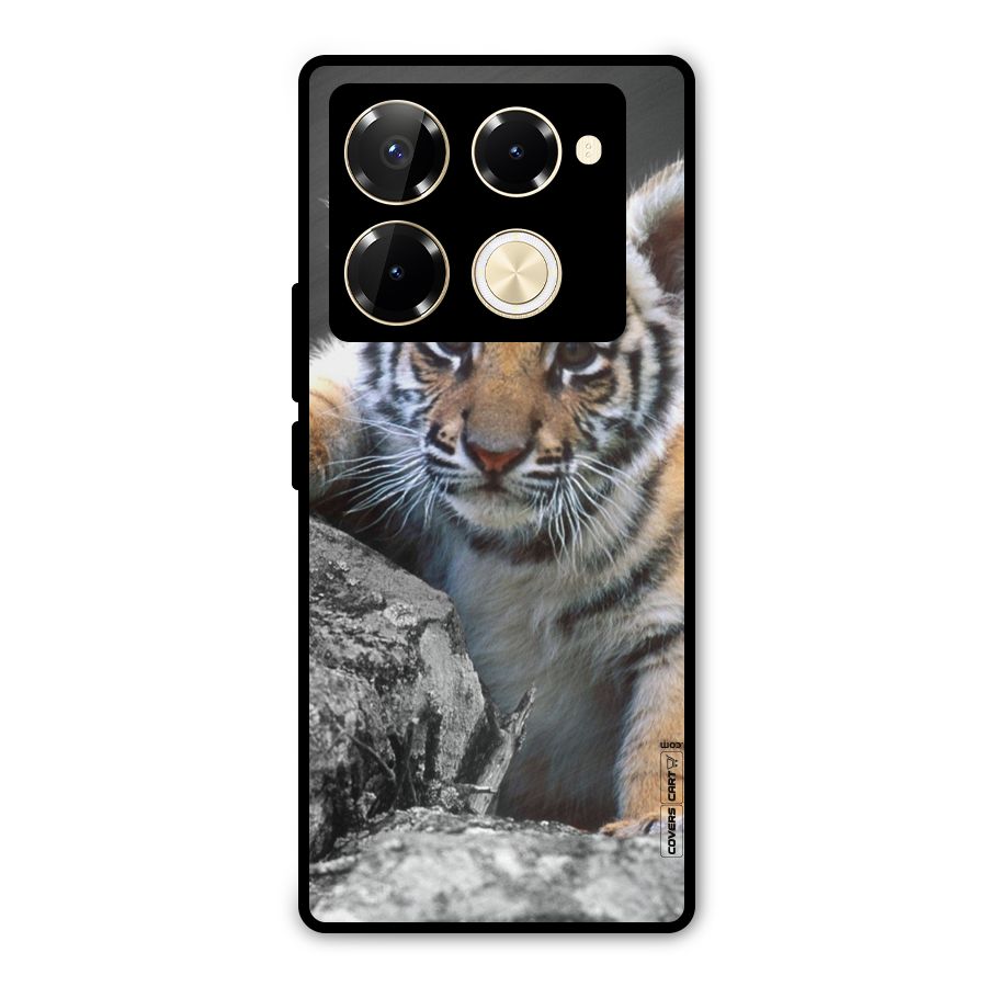 Animal Beauty Metal Back Case for Infinix Note 40 Pro Plus