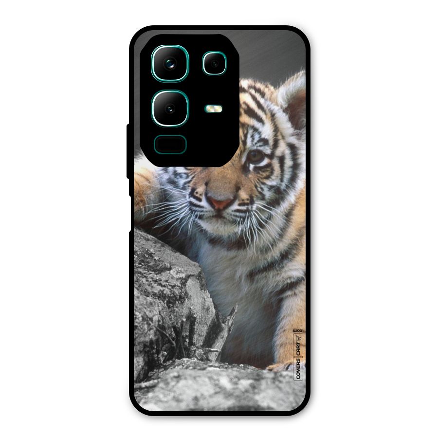 Animal Beauty Metal Back Case for Infinix Note 50x