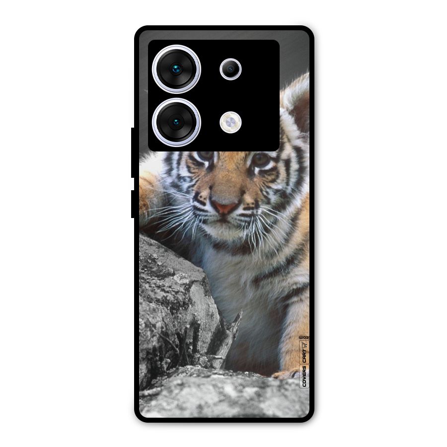Animal Beauty Metal Back Case for Infinix Zero 30 5G