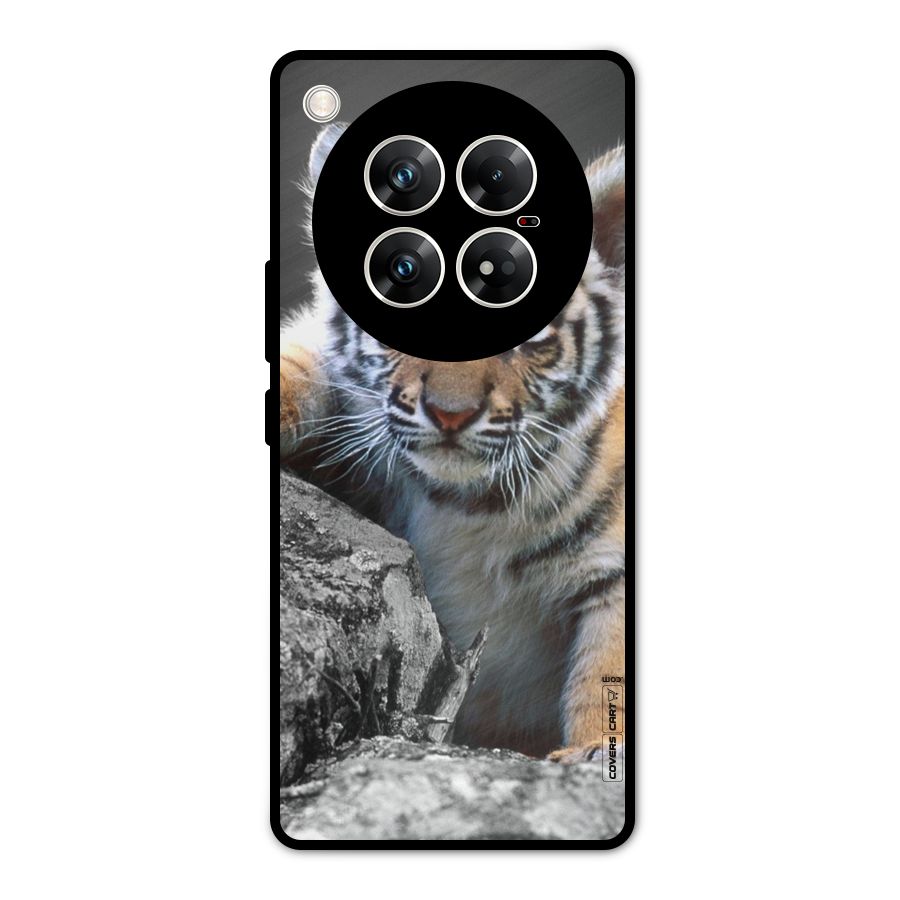 Animal Beauty Metal Back Case for Infinix Zero 40 5G