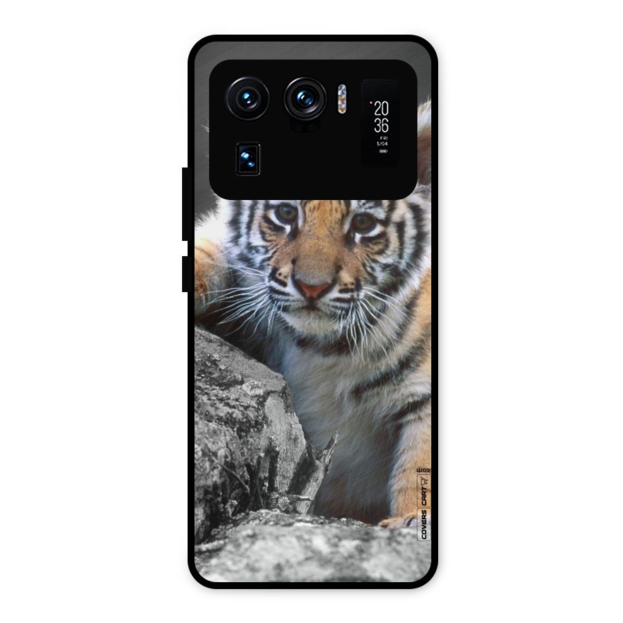 Animal Beauty Metal Back Case for Mi 11 Ultra
