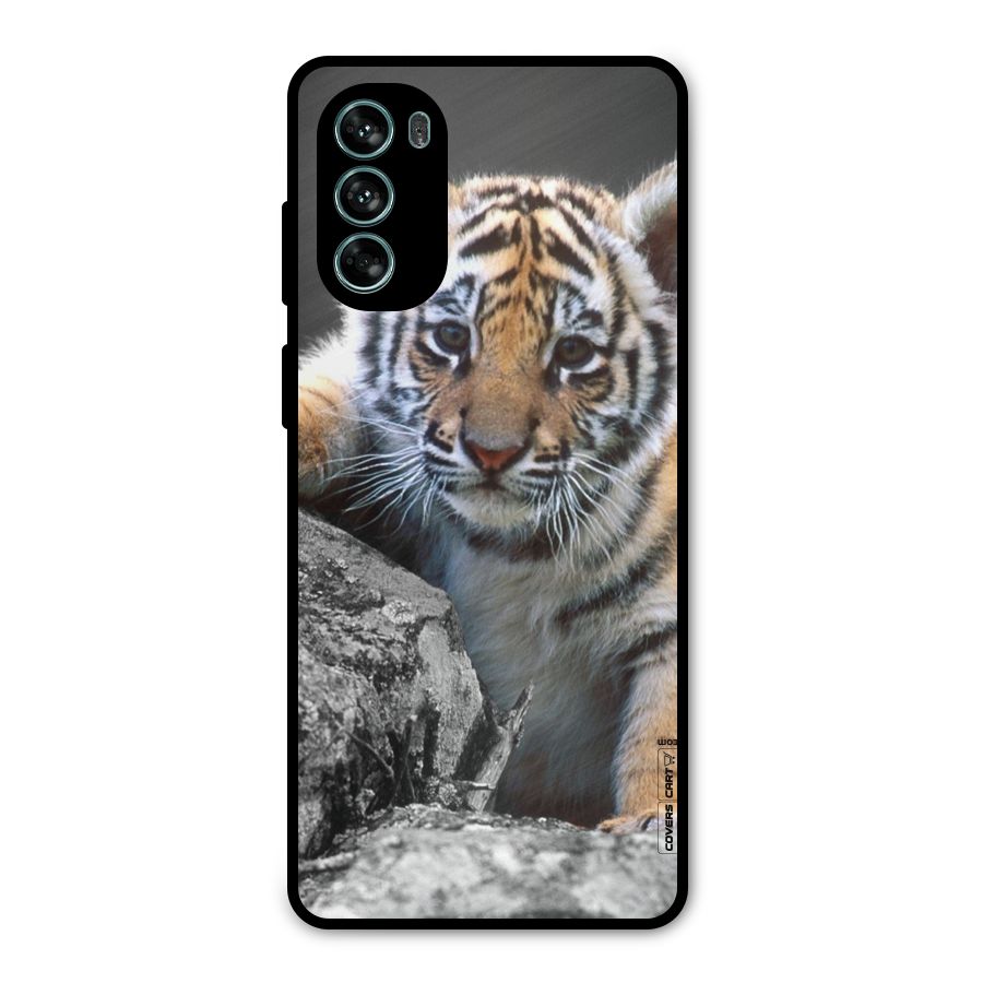 Animal Beauty Metal Back Case for Moto G62