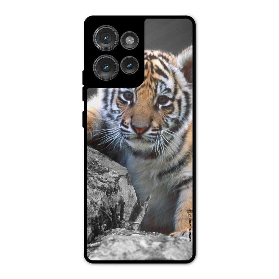 Animal Beauty Metal Back Case for Motorola Edge 50
