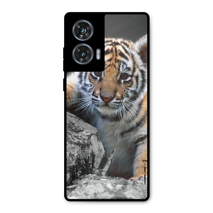 Animal Beauty Metal Back Case for Motorola Edge 50 Fusion