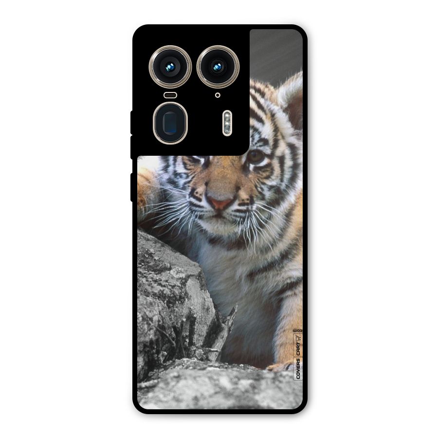 Animal Beauty Metal Back Case for Motorola Edge 50 Ultra