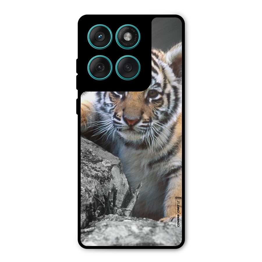 Animal Beauty Metal Back Case for Motorola Edge 60 Fusion