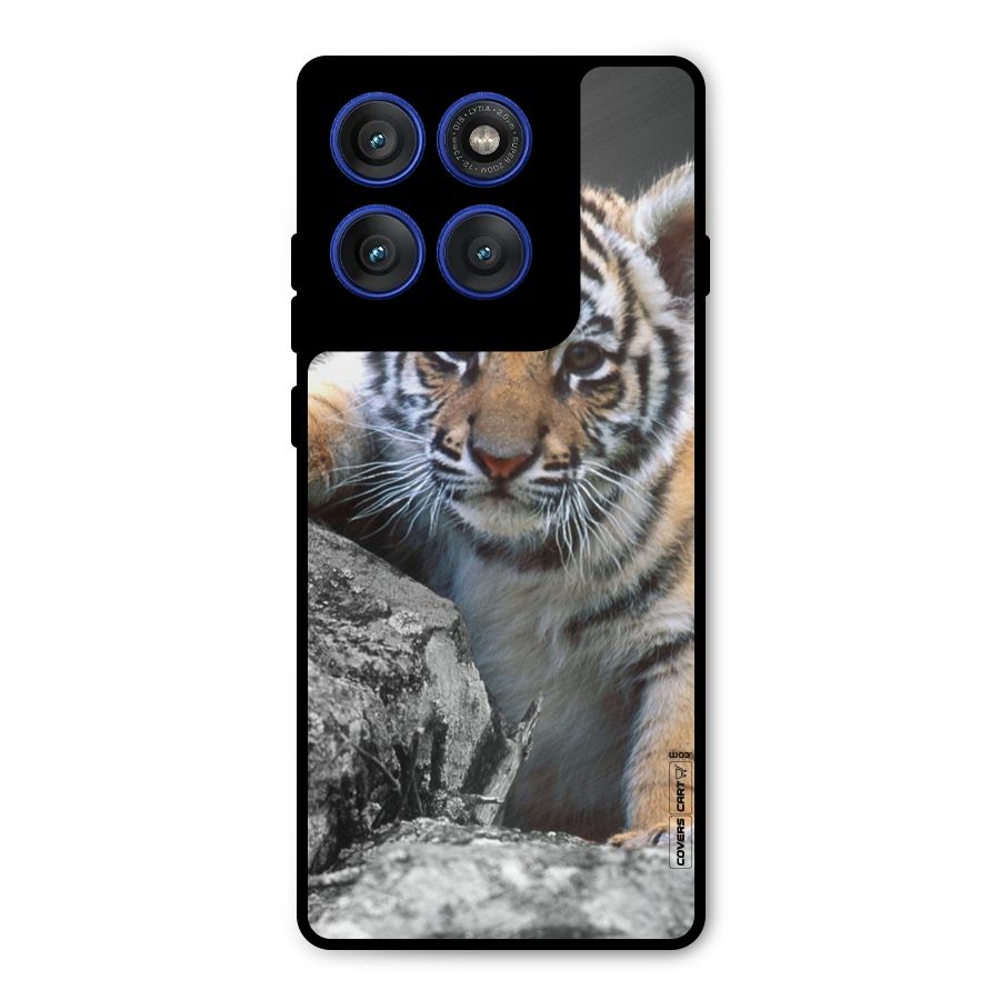 Animal Beauty Metal Back Case for Motorola Edge 60 Pro