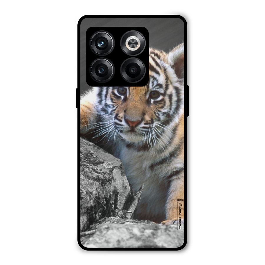 Animal Beauty Metal Back Case for OnePlus 10T