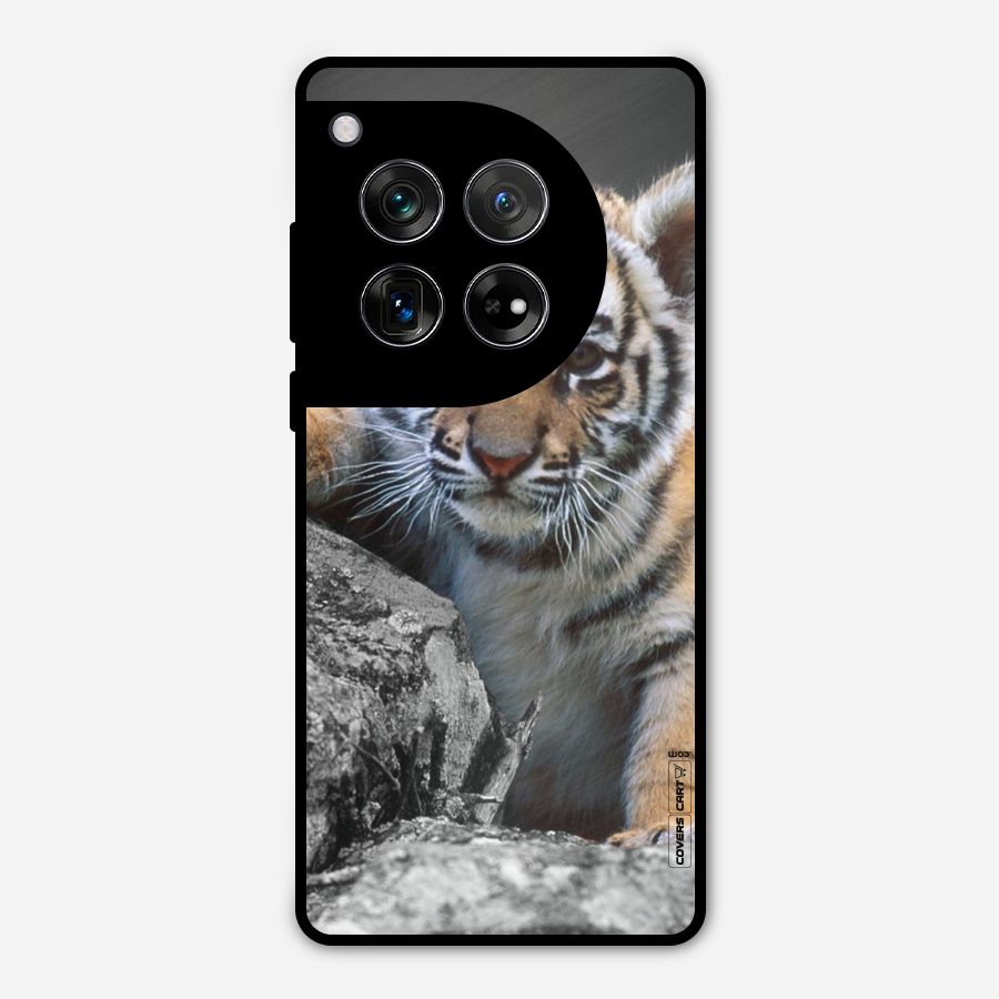 Animal Beauty Metal Back Case for OnePlus 12
