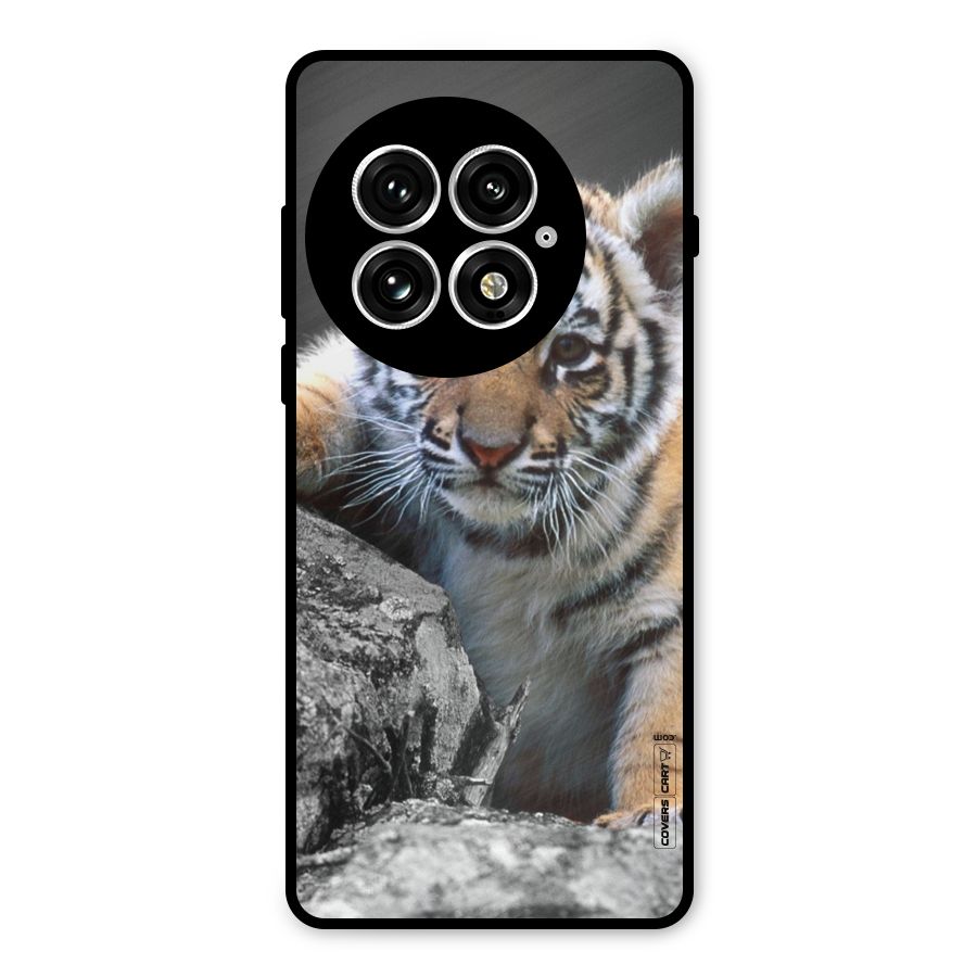 Animal Beauty Metal Back Case for OnePlus 13