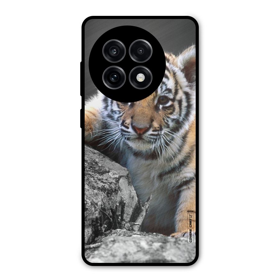 Animal Beauty Metal Back Case for OnePlus 13R