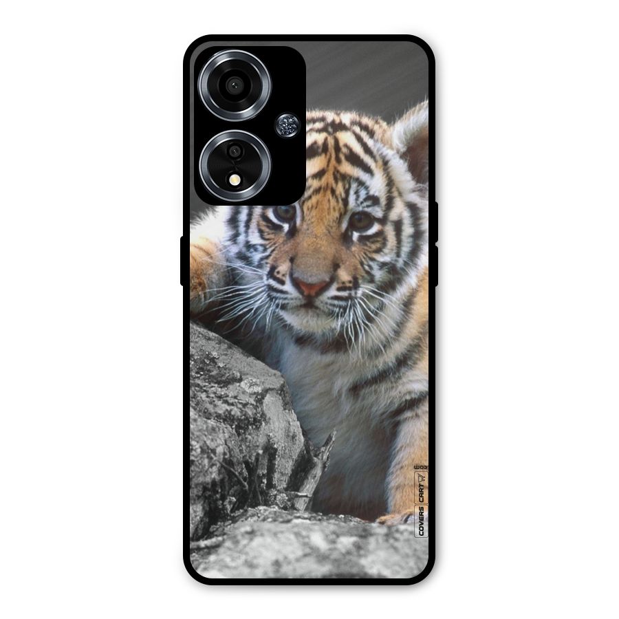 Animal Beauty Metal Back Case for Oppo A59