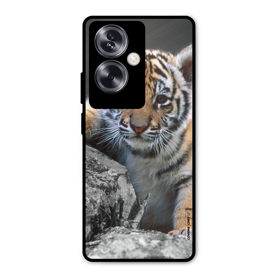 Animal Beauty Metal Back Case for Oppo A79 5G