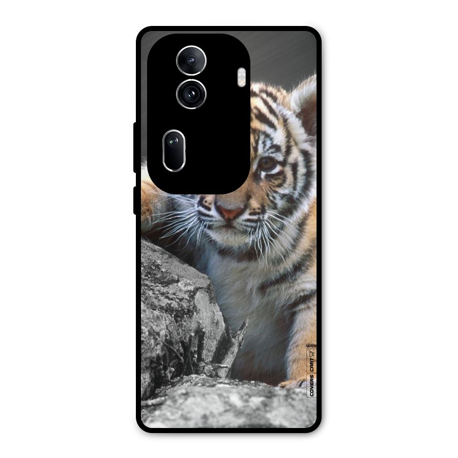Animal Beauty Metal Back Case for Oppo Reno11 Pro 5G