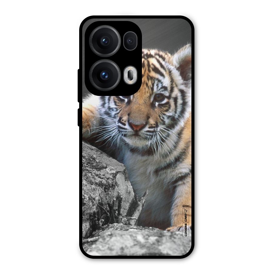 Animal Beauty Metal Back Case for Oppo Reno13 Pro