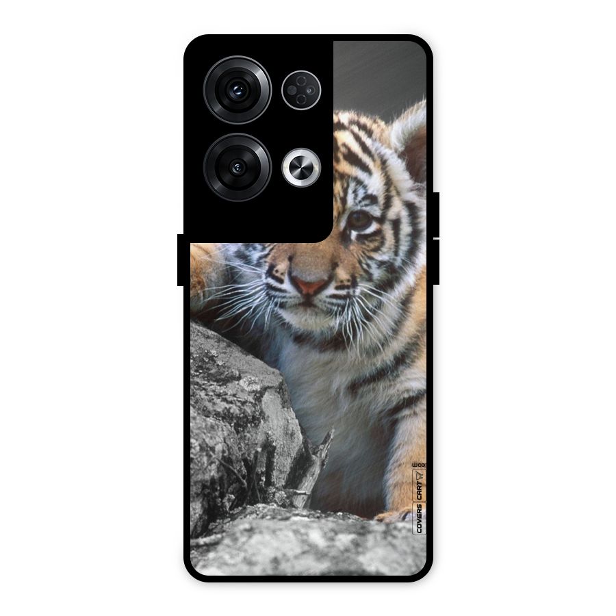Animal Beauty Metal Back Case for Oppo Reno8 Pro 5G