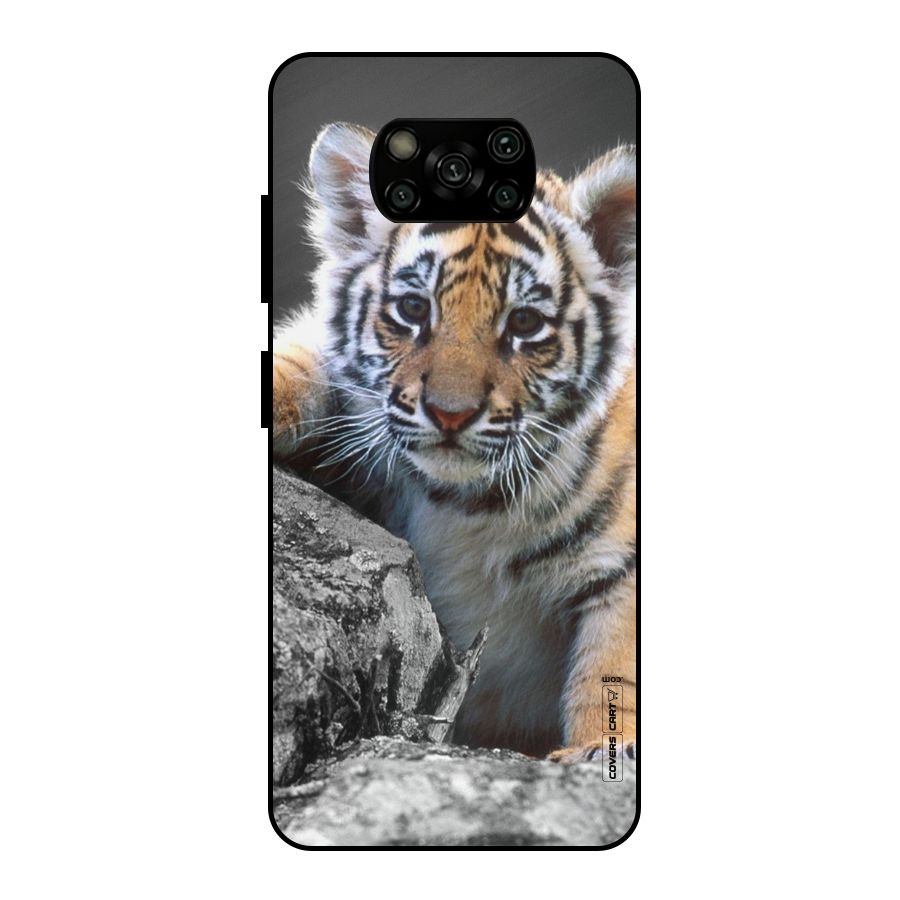 Animal Beauty Metal Back Case for Poco X3