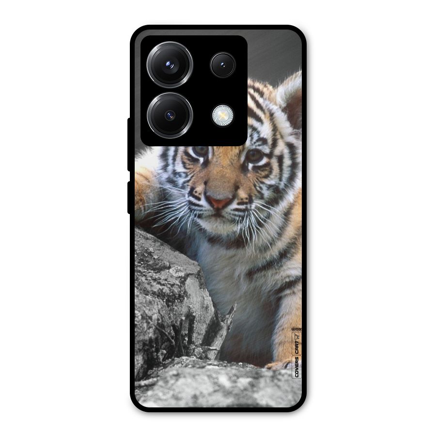 Animal Beauty Metal Back Case for Poco X6