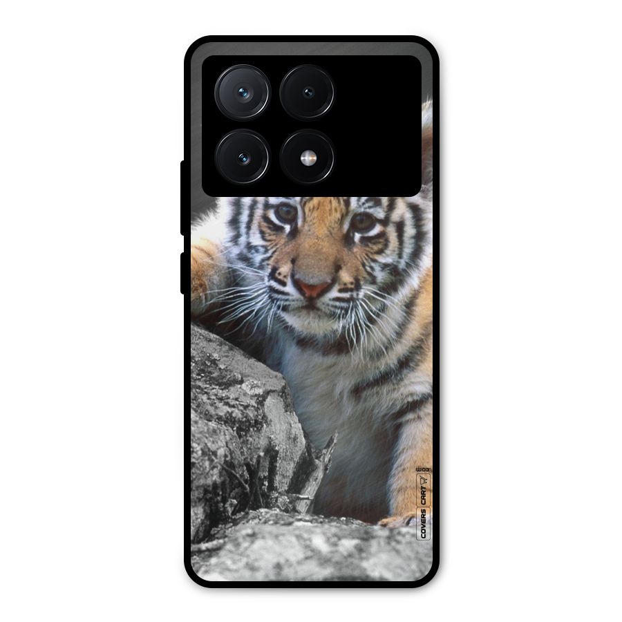 Animal Beauty Metal Back Case for Poco X6 Pro