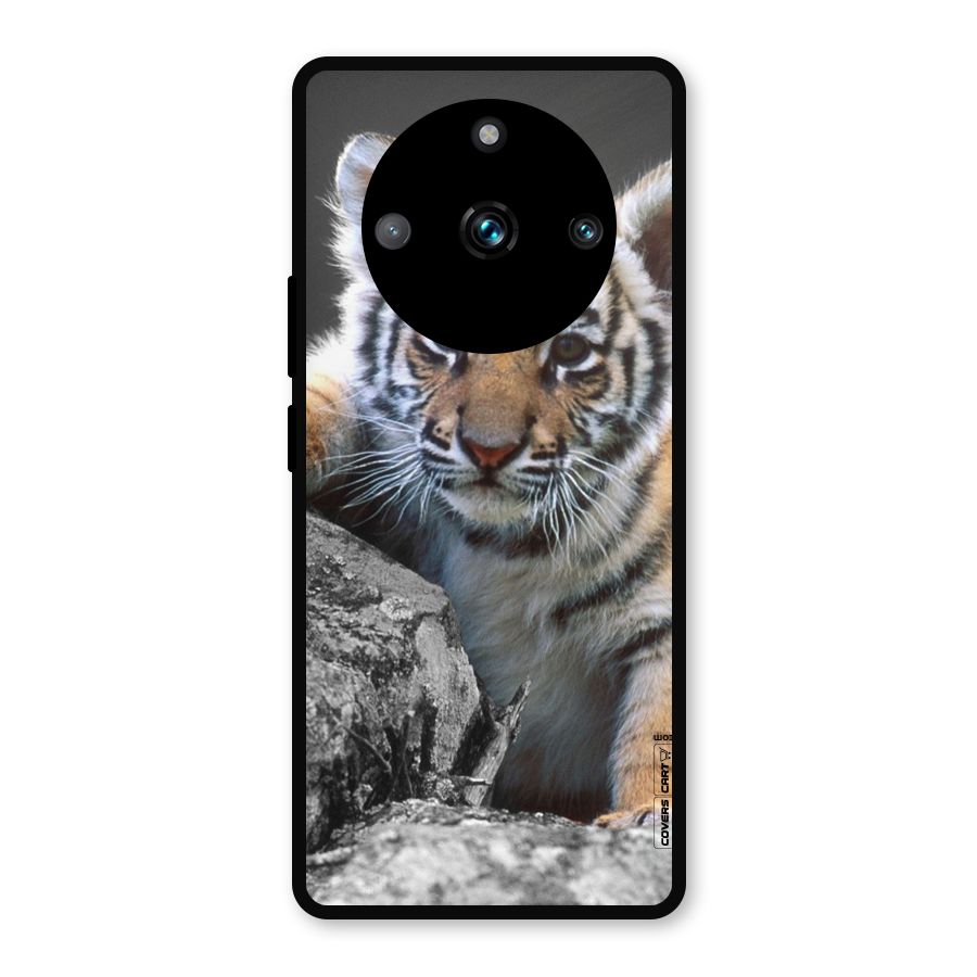 Animal Beauty Metal Back Case for Realme 11 Pro