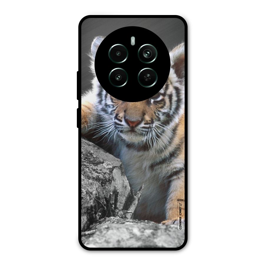 Animal Beauty Metal Back Case for Realme 12 Pro Plus