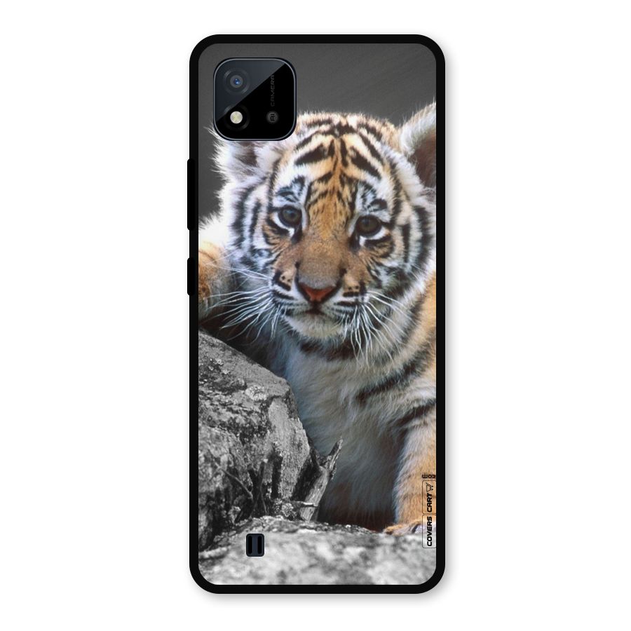 Animal Beauty Metal Back Case for Realme C11 2021